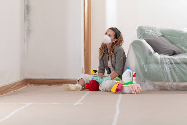 Reliable Black Mold Removal contractor in Rockville Centre, NY by WQB Mold Removal